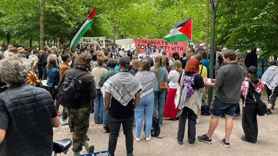 A pro-Palestine demonstration in a park. Photo
