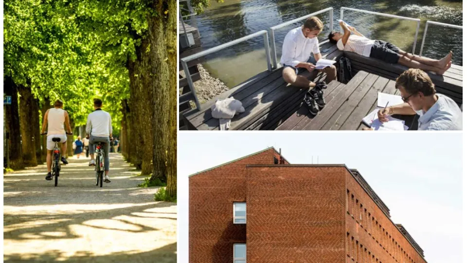 Collage with photos from outdoor environments.