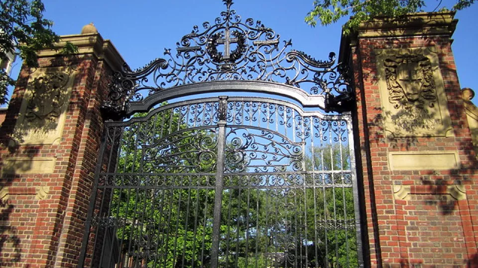 Old beautiful iron gates