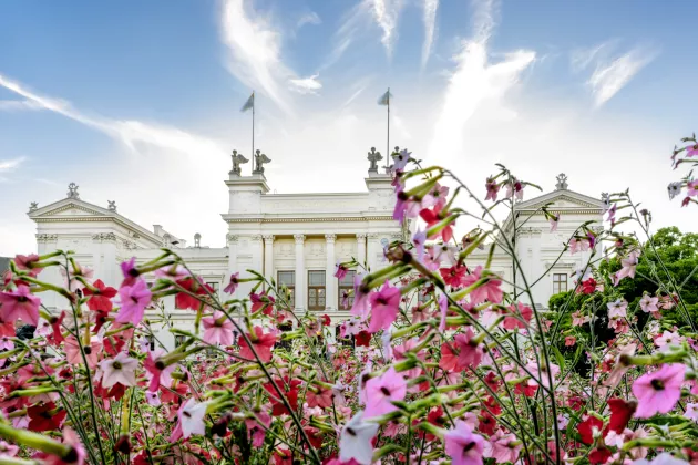 Universitetshuset i kvällsljus. Foto.