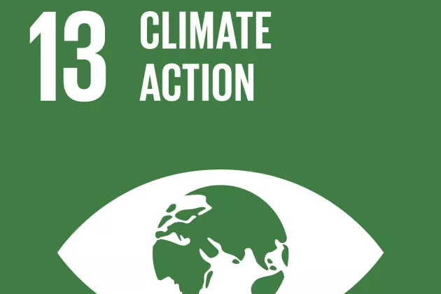 The global goals action 13.