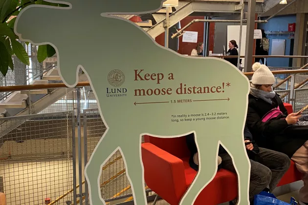 A moose-shaped sign saying"Keep a moose-length distance".
