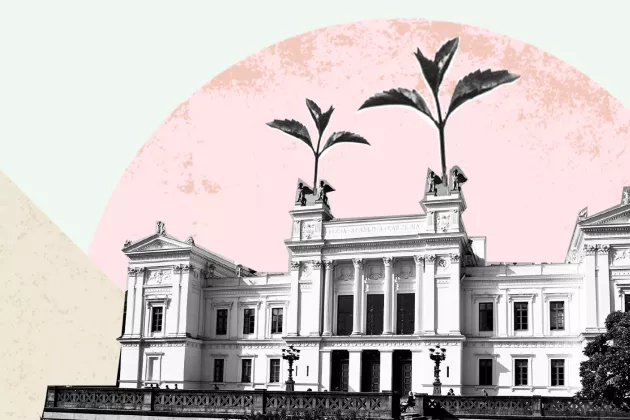 Illustration of the university building with plants growing from the roof.
