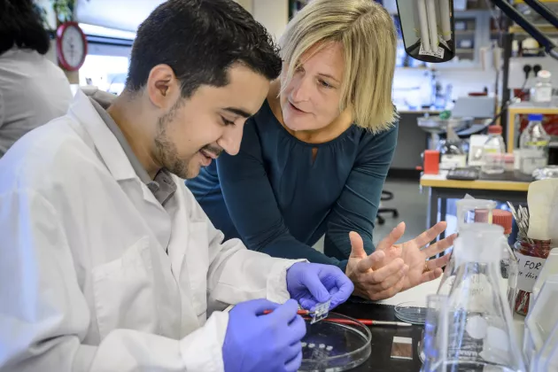 En kvinna och en man i ett laboratorium tittar på ett labbprov.