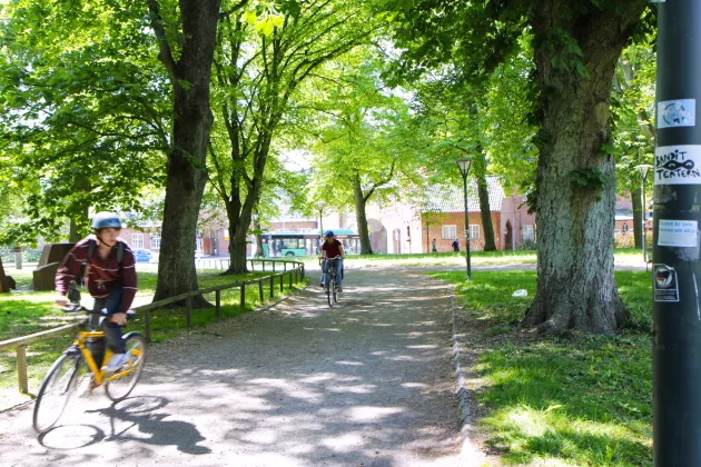 Two persons cycling in a park.