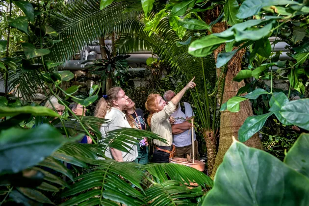 Photo of people visiting the botanical garden.