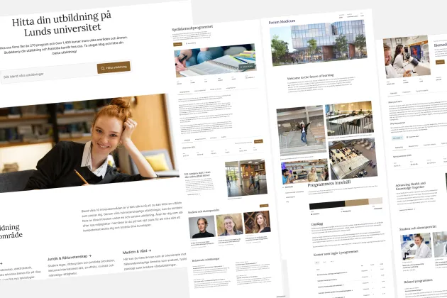 Screenshots in a collage of the pilot pages.