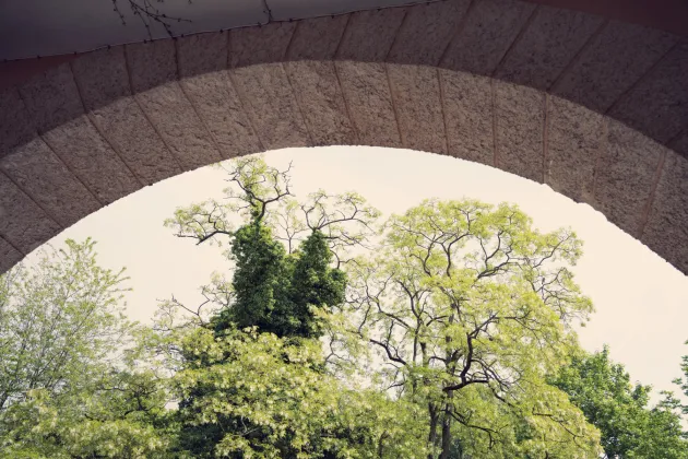 A green three seen through a valve.