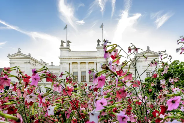 Universitetshuset i kvällsljus. Foto.