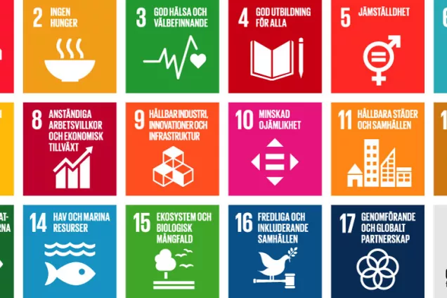 The different Sustainable Deveplopmend Goals (SDG) portrayed with their individual icons.