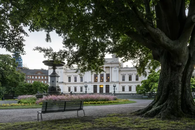 The university building in evening light.