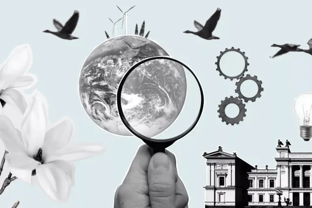 Illustration and collage of birds, universitybuildning and the globe.