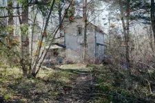 An old house in a forest landscape. Photo.