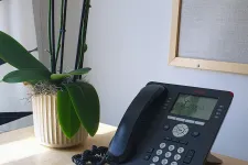 A telephone and a plant.