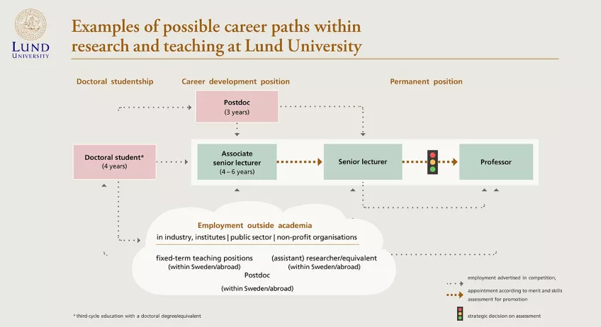 The image shows possible career paths for academic staff within Lund university
