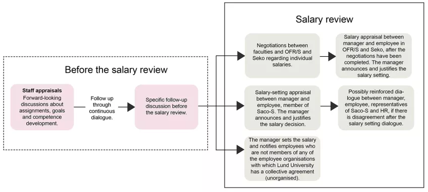 This image illustrates the salary process at Lund University.
