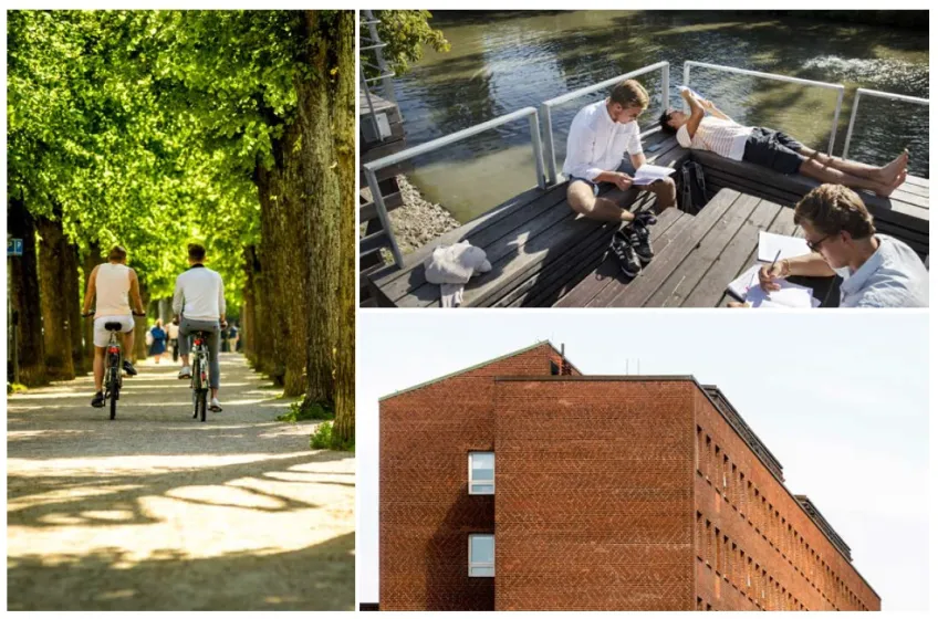 Collage with photos from outdoor environments.