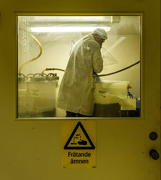 Man in lab, wearing safety equipment
